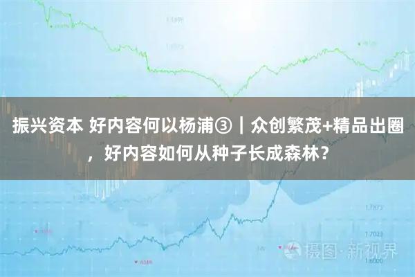 振兴资本 好内容何以杨浦③｜众创繁茂+精品出圈，好内容如何从种子长成森林？